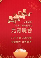 2026年中央广播电视总台元宵晚会综艺